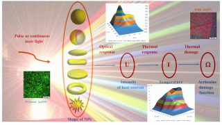 Biophotons in Macro and Micro Universe and their importance